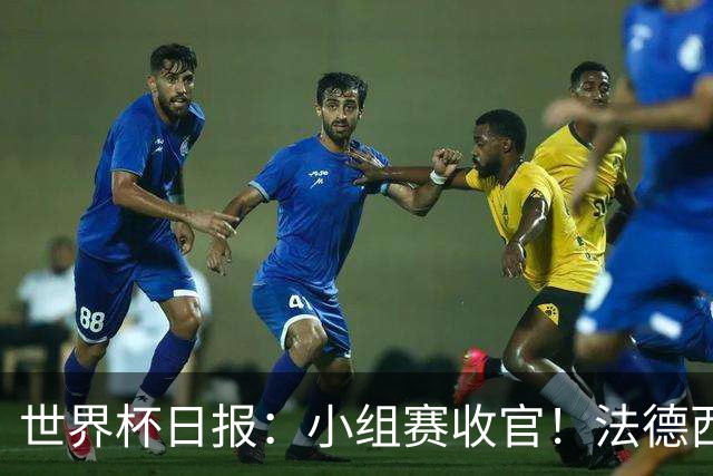 世界杯日报：小组赛收官！法德西荷葡半区绞杀+韩国伊朗出局